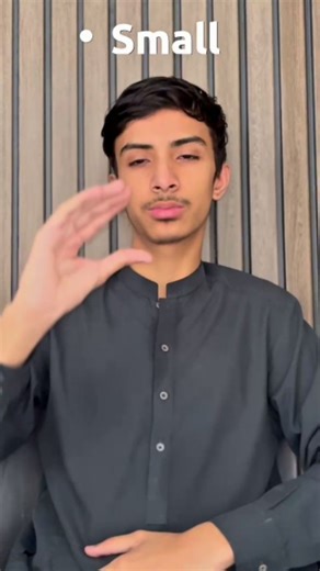 Aliyan Javed on Instagram: "Small in Pakistan Sign Language (PSL) . . . #itsaliyanjaved #PakistanSignLanguage #PSL #DeafCulture #DeafAwareness #Inclusion #Accessibility #ReelEducation"