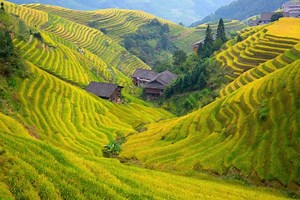 Breathtaking Pictures of Longsheng Rice Terraces in China Will Spark Your Wanderlust