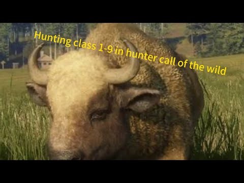 Hunting class 1-9 in hunter call of the wild