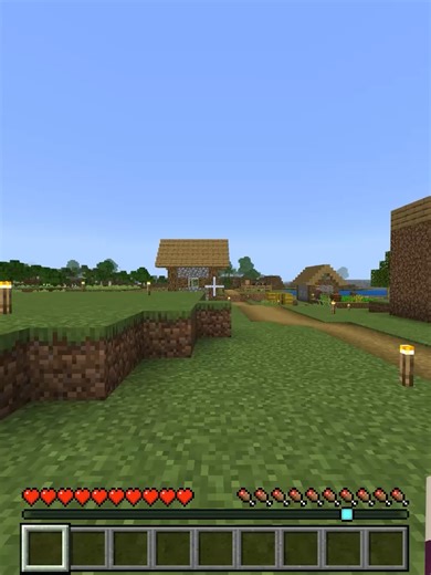 マイクラで暴言キッズを成敗する