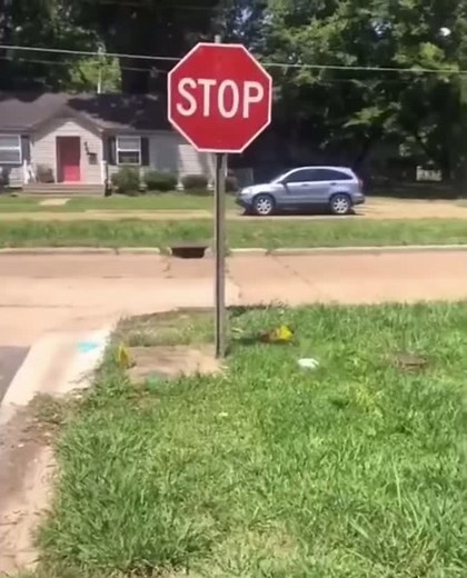 BEST MEMES on TikTok