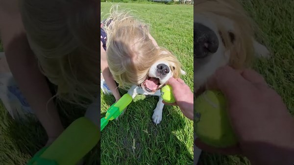 Beagle Dogs and Kids: A Match Made in Heaven