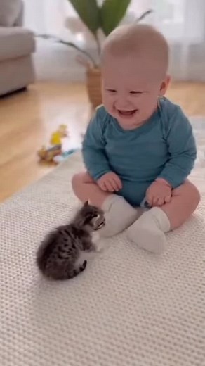 229K views · 7.8K reactions | cutest moments baby kidding with the cat #baby #cutekids #funny #cutebabies #cute #deardad #cute #babylove #love #cat #cutebaby #cute #cutebabies #funny #dog #puppy #puppiesoftiktok #crying #dad | Baby & Pets | Facebook