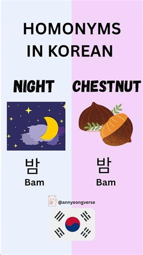 Do you know Same spelling Different meaning homonyms in korean? 👀#explorepage#coreano#coréen#korean