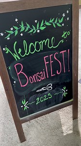 Our spectacular weekend celebration of living art continues today, Sunday (May 10-11) from 10am-4pm. Join us at Pacific Bonsai Museum for an unforgettable bonsai experience! What makes BonsaiFEST 2025 special? ✨ See our diverse collection showcasing the beauty of bonsai; ✨ The debut of our special exhibition “Little Champions,” featuring Washington’s native trees in miniature form; ✨ The Puget Sound Bonsai Association’s Spring Show with fantastic bonsai created by their members, including a spec