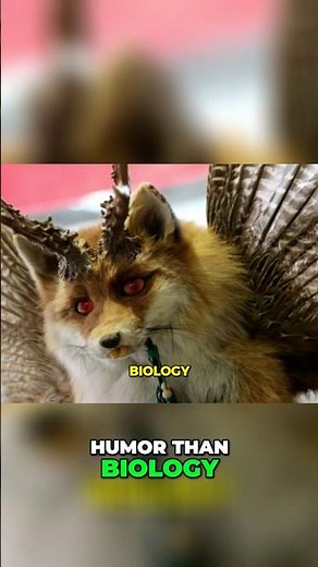 Wolpertinger Unveiling the Mythical Bavarian Creature