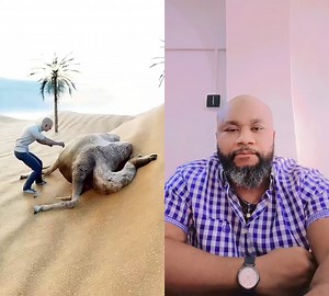1.1K views · 22 reactions | why do camels explode after death. #curiosity #randomiacts #LearnOnTikTok #facts #saveyourlife #facebookviral #viralvideochallenge #camels #afterdeath #highlight #everyone #royce1972 #roycechronicle #fypviralシ | Royce Inyang | Facebook