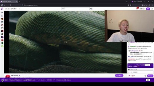 ホットな配信はここ