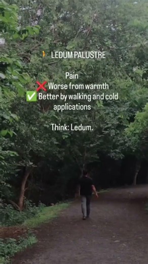 Walking Relieves Pain? | Homeopathy Materia Medica #shorts #homeopathy #motivation #themedicalmentor