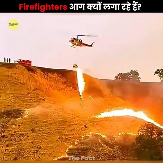 Why Starting a Fire Saves Lives 😧