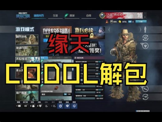 【Rust老王】#141 CODOL 模糊的视频是清晰的回忆