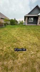 2K views | How to Fix Brown Patches in Your Yard! #lawn #lawncare #mowing #grass | Pest Badger | Facebook
