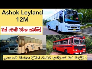 Ashok Leyland - 12M buses in Sri Lanka | Bus body types