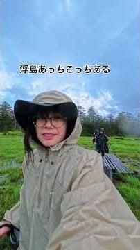 浮島湿原散策