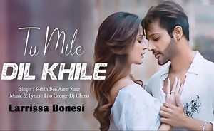 Tu Mile Dil Khile Lyrics By Stebin Ben [English Translation]