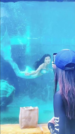 Real Mermaid Underwater Show | Live Aquarium Performance