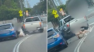 Woman run over after throwing object at ute