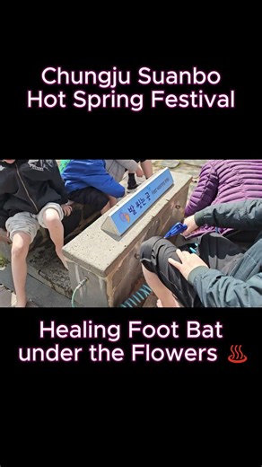 Best Cherry Blossom Hot Spring in Korea 🌸♨️ (Suanbo Festival)