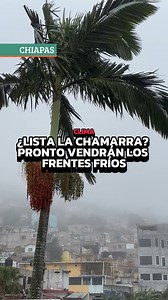 232K views · 4K reactions | Los pronósticos meteorológicos marcan que en el mes de septiembre comenzarán a sentirse los frentes fríos; el impacto será distinto para las diversas zonas de México. #NoticiaAlMomento #CuartoPoderMX #TuDiarioVivir #Chiapas #Clima | Cuarto Poder Mx | Facebook