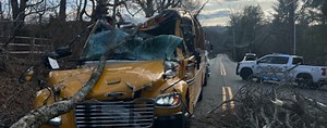 Tree crushes N.J. school bus with 10 kids and driver inside
