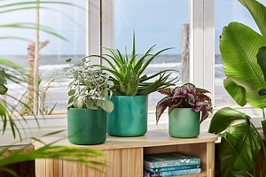 the ocean collection - elho® - Give room to nature