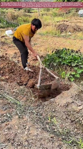 Unforeseen Challenges in Farming: A Tale of Resilience