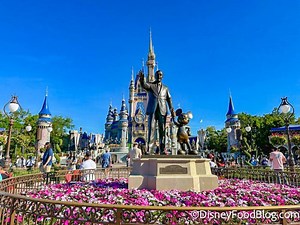 Park Pass Rules Have Officially CHANGED in Disney World | the disney food blog