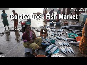 Sassoon Dock Live | Colaba Dock Fishing Market Live | Mumbai Fish Market Today