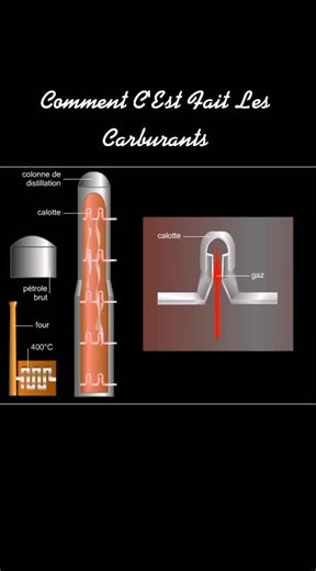 Understanding the Carbonation Process in Beverages