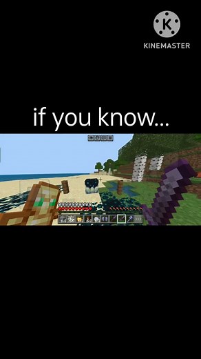 He is a warrior...🗿 #minecraft #gaming #trend