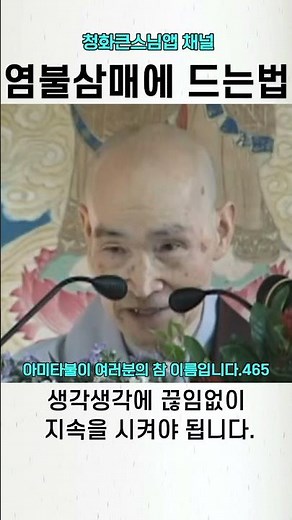 염불삼매에 들어가는 방법 #청화스님 #나무아미타불 #관세음보살