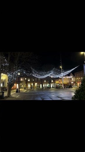 Snowing Christmas Lights ❄️🌨️ #christmaslights #christmaslighting #christmasdecorations