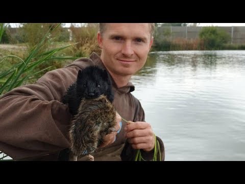 Mink About it, Guest Joseph Carter the Minkman, Season 3 Episode 19, Talking With Donato Podcast