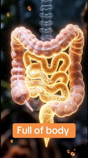 ⭐ What Happens Inside Your Body When You Eat an 🍊 – 3D Animation #HealthyDigestion#NutritionFact