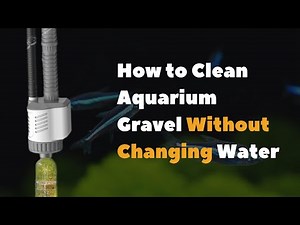 How to Clean Aquarium Gravel Without Changing Water | Electric Vacuum Cleaner Tutorial 🐟