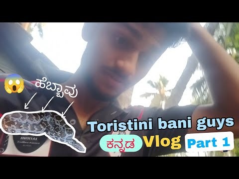 Hebbavu Snake Captured At a house near me | Full Kannada Video 😱 Part - 1 Vlog