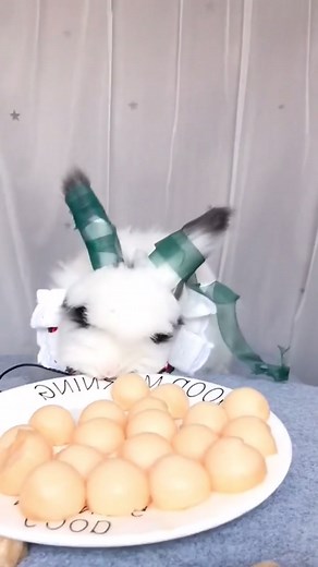 Toto Bunny on TikTok