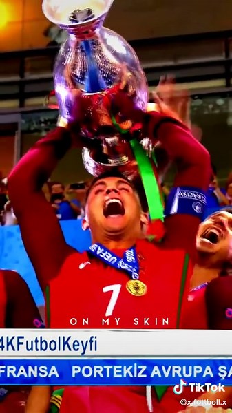 Exciting Moments from a Professional Football Match