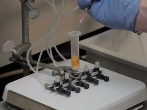 Solid Phase Synthesis of a Functionalized Bis-Peptide Using "Safety Catch" Methodology