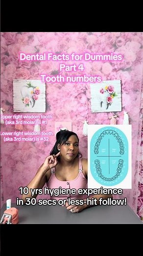 Dental facts for dummies part 4, tooth numbering