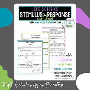 Stimulus and Response Worksheet   Activity