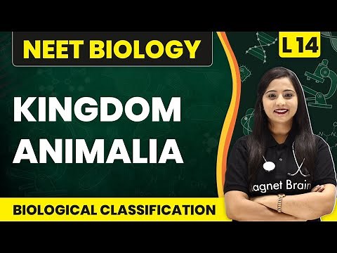 Kingdom Animalia | Biological Classification - L14 (Concepts) | NEET Biology