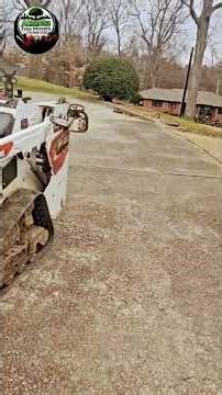 Tree Trimming in Atlanta GA | Professional Cleanup |