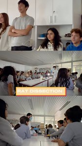 Today in the lab: a journey into biology’s complexities with a rat dissection. 🐭🔬 Students got a hands-on experience, uncovering the marvels of mammalian anatomy. #ScienceInAction #EastwoodEducation #BiologyLab | Eastwood Schools