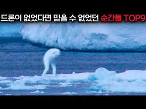 닝겐이 뭐야?