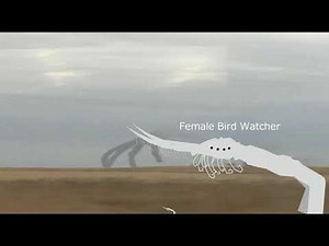 All kinds of bird watcher