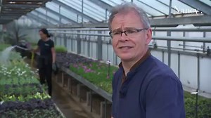 18K views · 480 reactions | Aux serres municipales, les jardiniers de Nancy préparent en équipe réduite le fleurissement de la ville. En attendant d'en profiter pleinement, dès le confinement levé, on vous laisse admirer à distance ces petites merveilles de la nature... | Ville de Nancy | Facebook