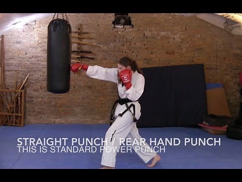 Taekwon-do | Basic Heavy Bag Training | Punches & Kicks 🥋👊🏻🥊