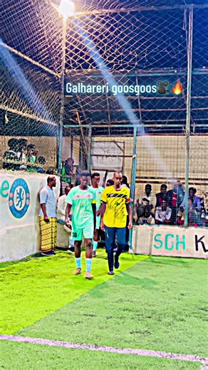 Gees tiir. Vs caga cade @Goat Geeseey 🐐🇸🇴 @YAQAANE🐐 @ziizow🇨🇭🦁 #goosgooskaciyaaraha #galhareeri