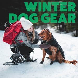 6.7K views · 28 reactions | We rounded up some of our favorite winter dog gear for all of your outdoor adventures. | Rover.com | Facebook